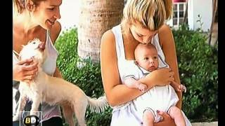 Un Simpson argentino - Telefe Noticias