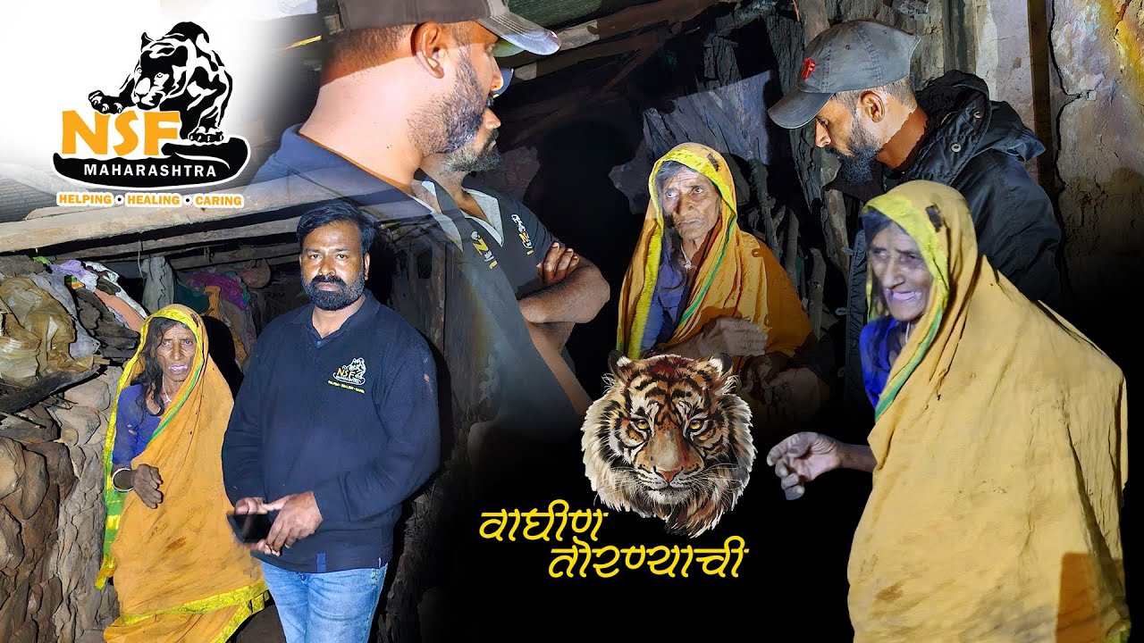 वाघीण तोरण्याची ढेबे आजी