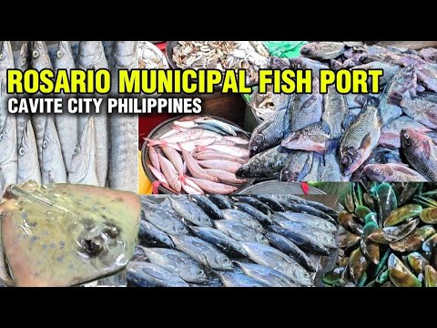 ROSARIO CAVITE SEAFOODS MARKET | MORNING WALKTOUR