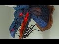 Paper Mache Dragon Trophy-Son of Maleficent