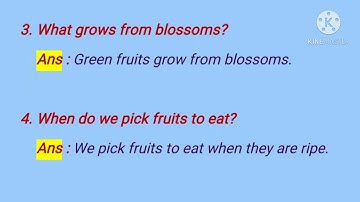 Class 3 English Chapter 2 Page No 16