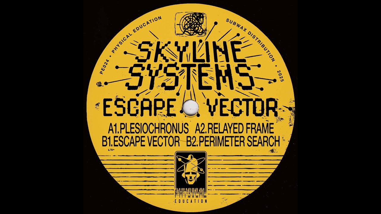 Skyline Systems -- Plesiochronus