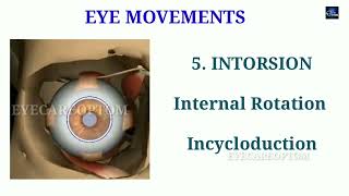 Different types of eye movements | Ocular Muscles  @eyecareoptom #eom #eyemovements #eyemuscles
