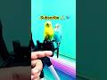 Cute budgies 🎀🐦❤️🥰😍#trending#petshub#youtube short#funny #youtube #ytshorts#pets #cute #shorts