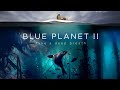 Blue Planet II : The Prequel