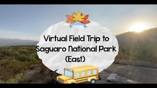 Exclusive Virtual Field Trip - Saguaro National Park Information