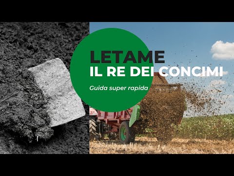 Video: Quanto letame mescolo al terreno?