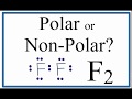 Understanding F2 Molecule Properties