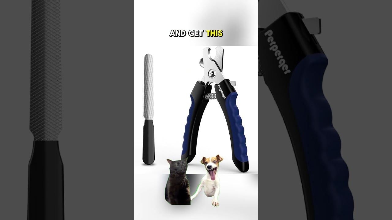Safe Nail Trimming ✂️ Dog & Cat Care! 🐾