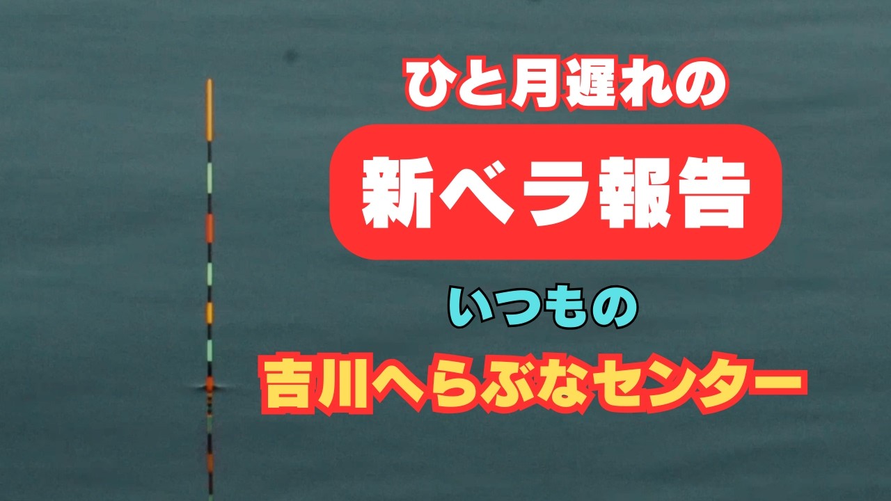 へらぶな釣り🎣ついに新ベラ入ったよ〜😃