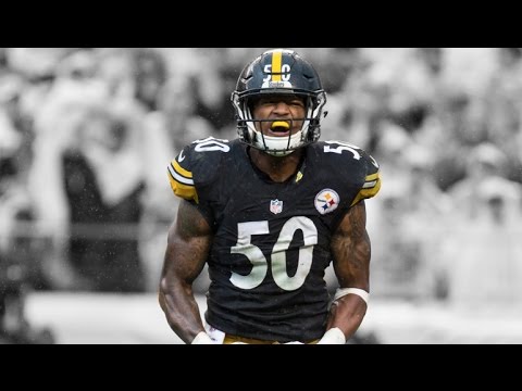 Ryan Shazier || 2016-2017 Ultimate Highlights ||
