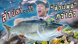 ล่าปลาหัวโคตรอร่อย !!! “หัวราคาแพงกว่าตัว” [คนหลงรส] EP.24