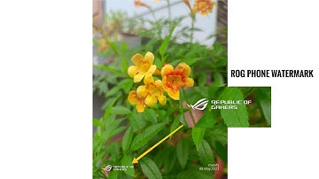 ASUS ROG 5 CAMERA APP PORTED FOR ALL ANDROID DEVICES #roadto1k #ports#ported#rog #camera#android