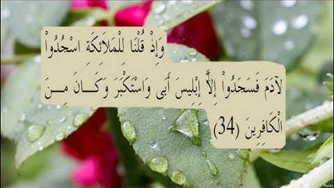 القران الكريم سورة البقرة الاية 34