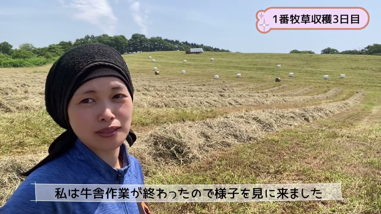 2025年HS farm 1番牧草収穫✨
