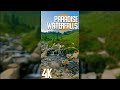 2 HRS Nature Sound to Relax & Concentrate - Vertical Video - Calming Ambience of Paradise Waterfalls