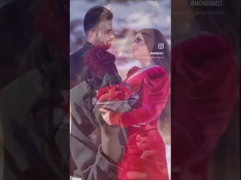 انت اجمل قلب شفتو في الزمن ده