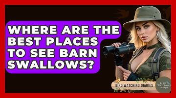 Where Are The Best Places To See Barn Swallows? - Bird Watching Diaries