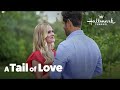 A Tail Of Love 2024 New Hallmark Movies 2024 Best Hallmark Romance 2024 Romantic Holiday 2024 