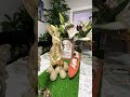 Ideas Para Decorar Tu Comedor Easter 2026 💐🐇#decoracion#easter2026