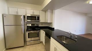 Courthouse Plaza Apartments  Dc  Floorplan H 824