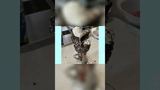 ¡Deliciosas Tentaciones de Chocolate y Helado!