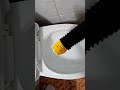 변기에 빠진 라이언                                      Ryan in the toilet.