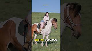 5 Negara Paling Ekstrem Di Duniashort faktaunik