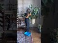 plant care tips 🧙🏼♀️🪴 1