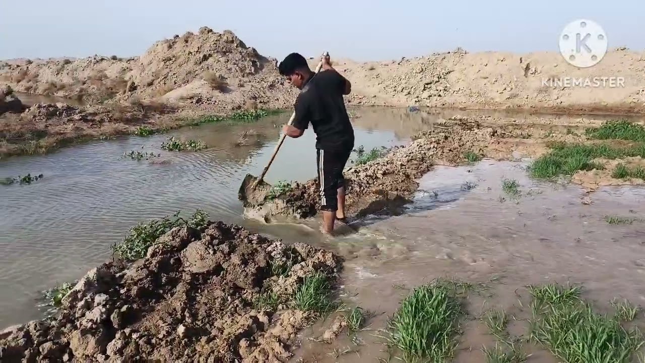 فيديو ترفيهي في الريف