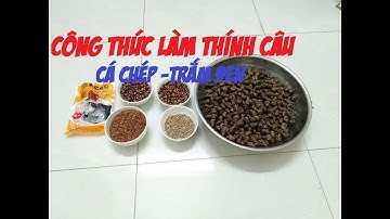 HƯỚNG DẪN LÀM MỒI, CÔNG THỨC LÀM MỒI CÂU CÁ TRẮM ĐEN - CÁ CHÉP; Zalo:0979009118; FB:Thính Câu Hân Ốc
