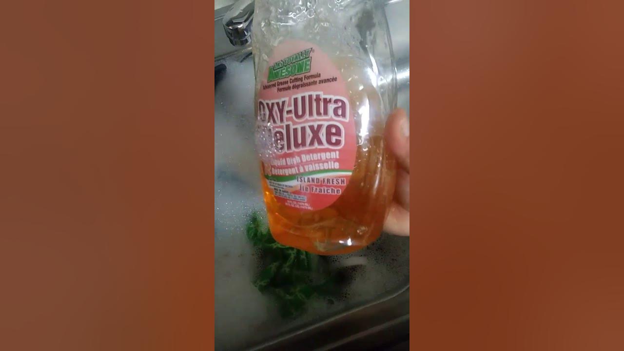 Dollar Tree Dish Detergent review!!!! YouTube