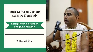 Torn Between Various Sensory Demands | Wisdom Bites by Tattvavit dāsa