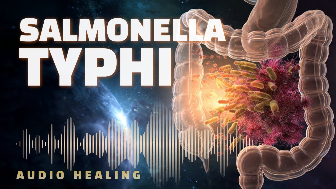 Сальмонелла Тифи 🧪 Биорезонансный протокол | Целевая частотная поддержка биополя (БРТ)