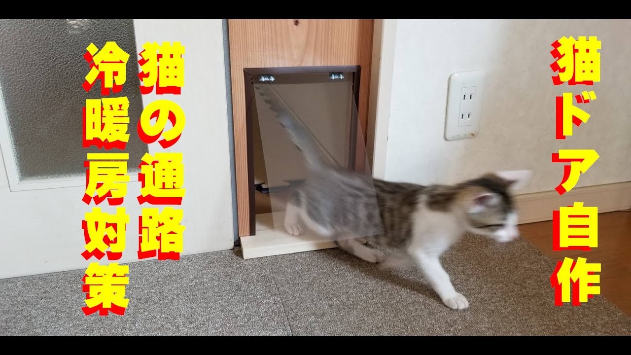 猫動画 安くてすごく簡単 自作で ペットドア作り 犬や猫に対応 完成版 Youtube