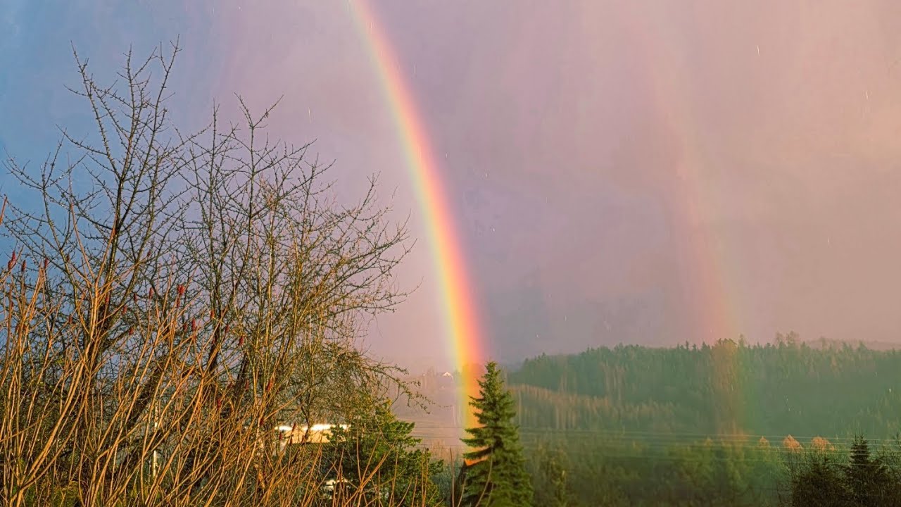Earth Star - real humans are granted the entrence back to Earthy Realm 