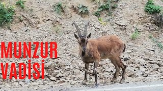 Munzur Vadi̇si̇ - Dersi̇m Munzur Ovacik