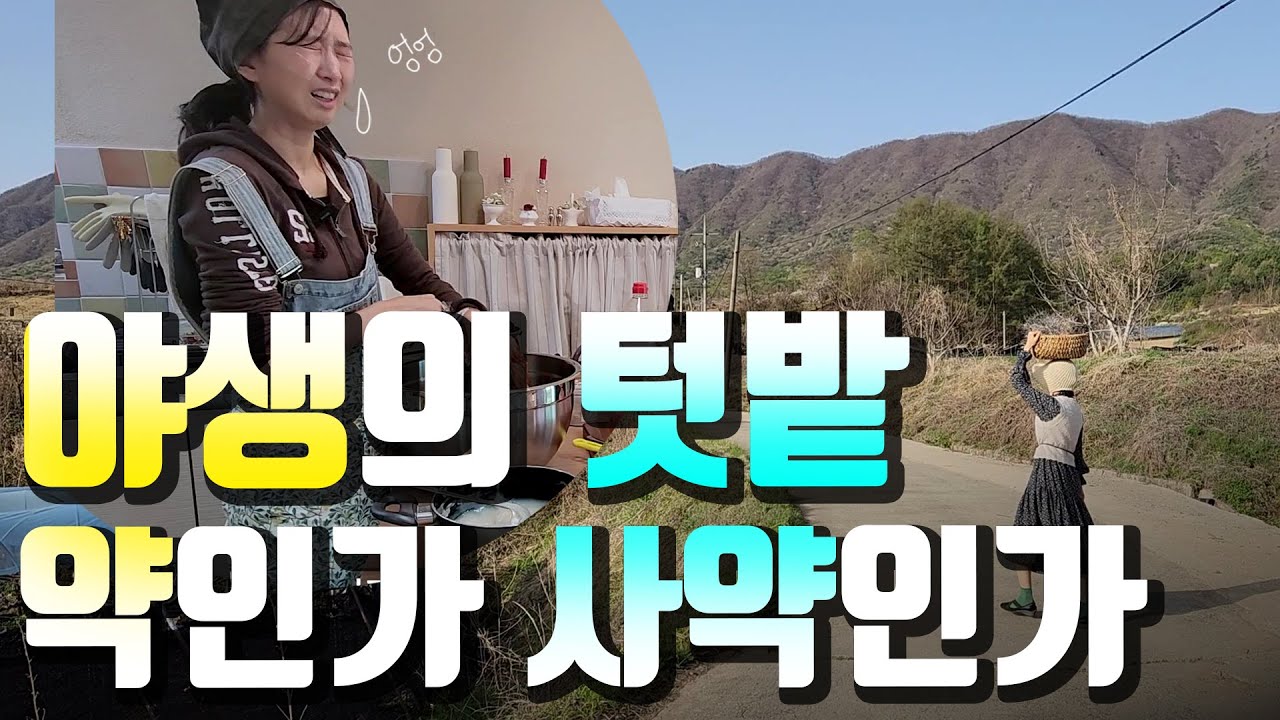 잡초만 먹고 살아봤다