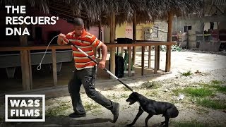 We Cried Watching Them Catch Dogs in Punta Cana - Hope For Dogs #StrayDogCity