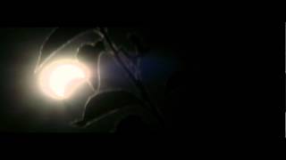 Solar Eclipse Anamorphic Experimentation by eyepatchproductions 598 views 11 years ago 1 minute, 18 seconds