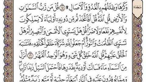 سورة الرعد الشيخ ياسر الدوسري صفحة ٢٥١