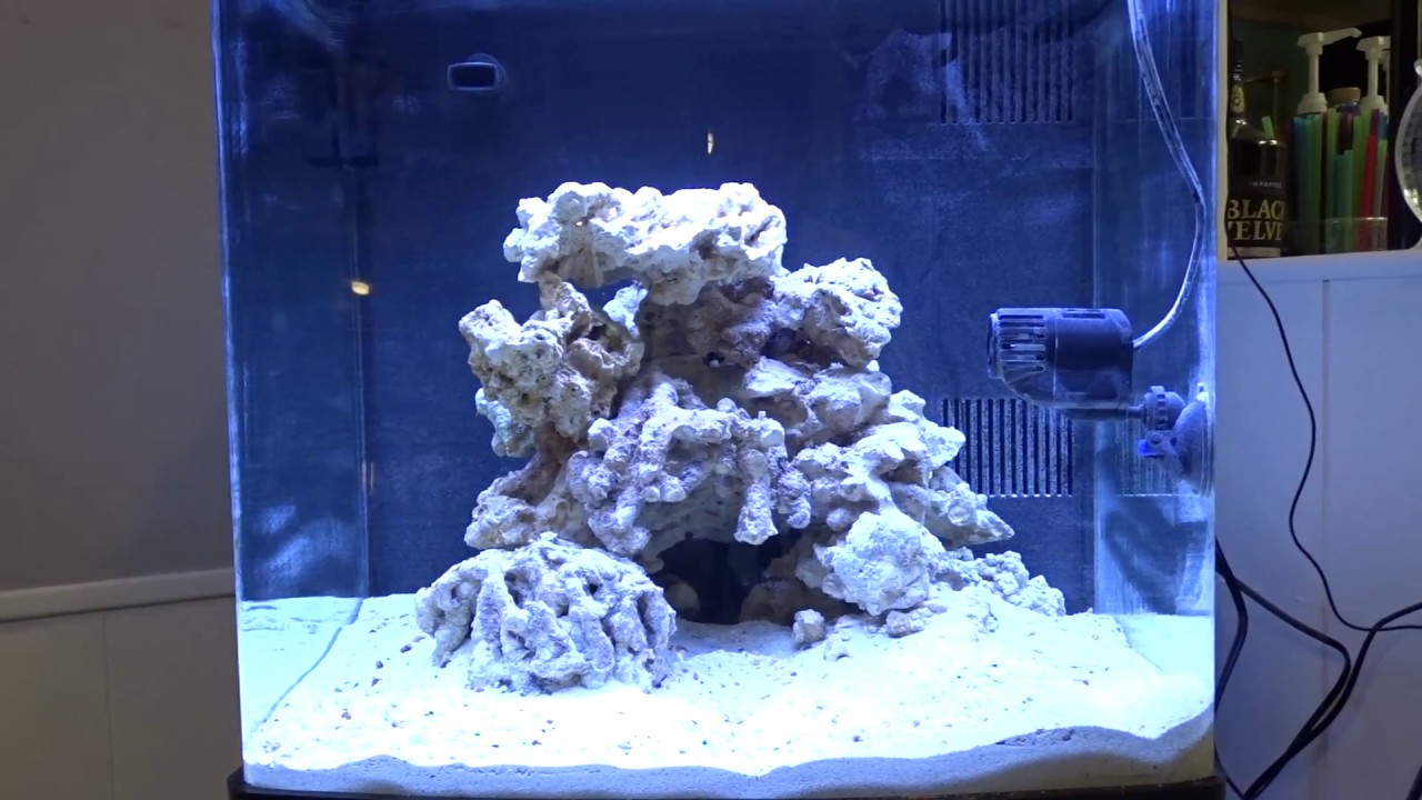 Biocube 32 Build: Week 1 update. - YouTube