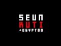 Seun Kuti IMF Video Lyrics mp3
