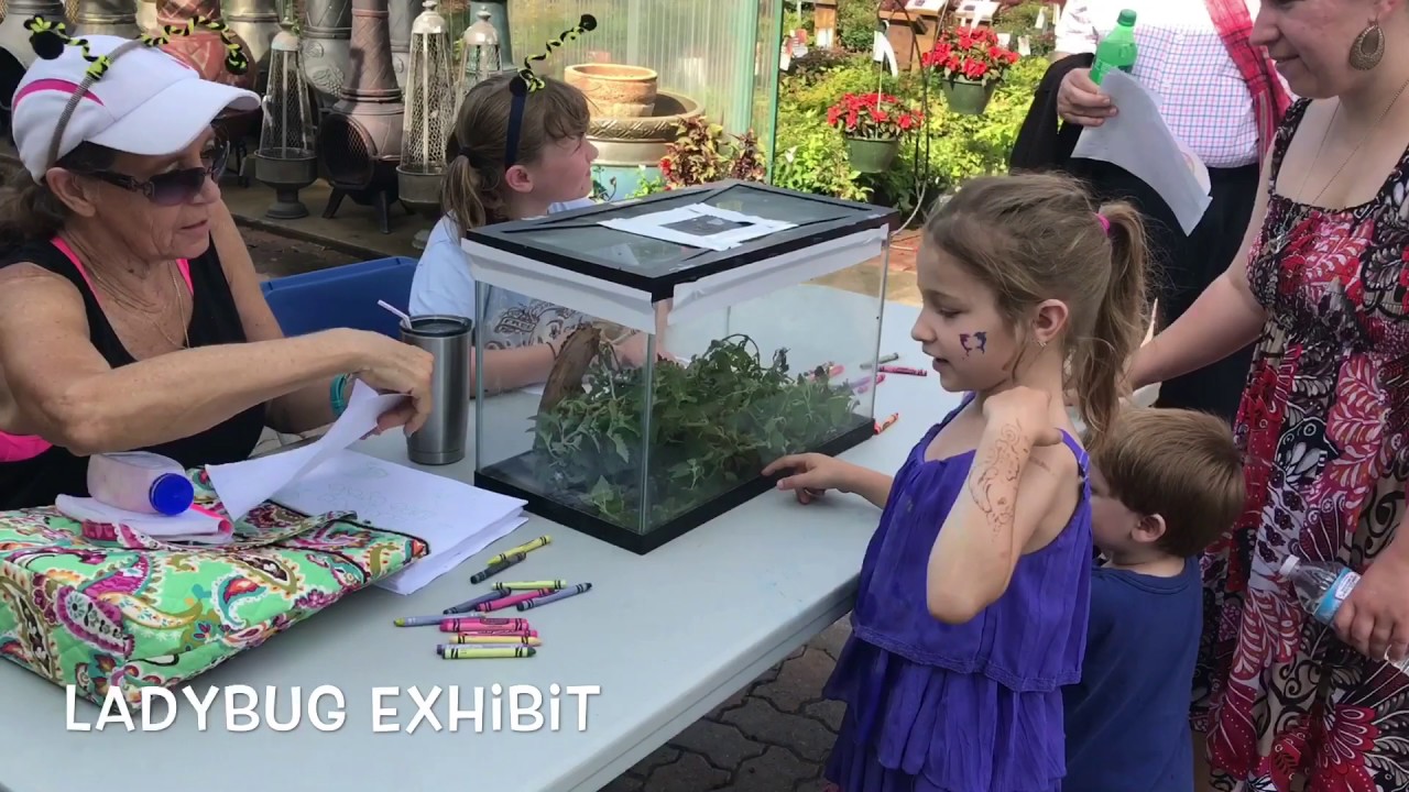 Highlights From Our 2nd Kids Gardening Festival!