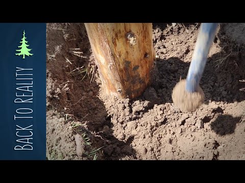 Garden Fence (Part 1): Garden Layout and Installing Natural Fence Posts without Cement