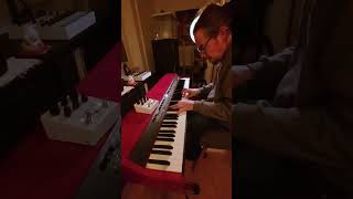 Moonsong / Meris Polymoon Meets Nord Grand #piano #merispolymoon #effectpedals #delay #electricpiano