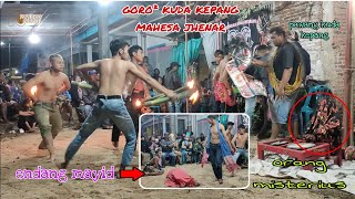FULL GORO GORO MENDEMAN, KUDA KEPANG MAHESA JHENAR, DADAPGEDE