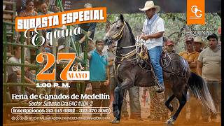 1ra Subasta especial equina - Feria de ganados Medellín 27 Mayo