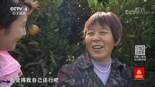 《远方的家》 20191203 长江行（83）江上沙洲 意蕴悠长| CCTV中文国际