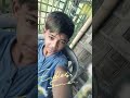 🥰MY NEW CHANNEL ♥️♥️ #reels #viral #viralvideo #viralshorts #foryou